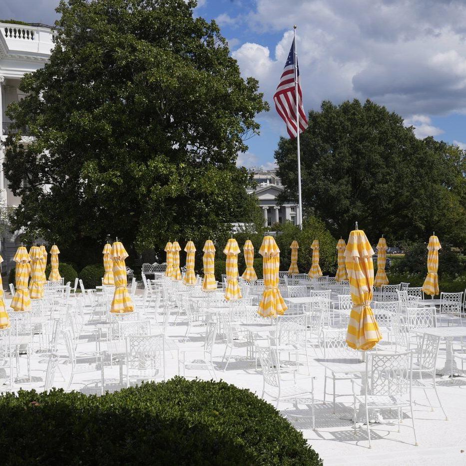 Trump hosts tech titans - but not Musk - at White House